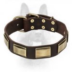 Designer Dog Collar With Beautiful Decoration For Canine