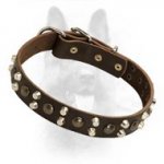 Custom Studded Leather Dog Collar For Canine