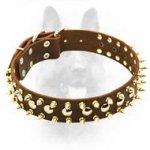 Leather Spiked & Studded Dog Collar For Canine Dogs