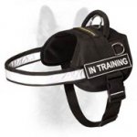 Canine Nylon Dog Harness With Patches