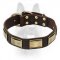 Designer Dog Collar With Beautiful Decoration For Canine