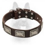 Decorated Leather Canine Collar with Nickel Plates