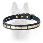 High-Quality Elegant Leather Canine Collar with Brass Plates
