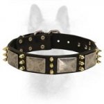 Gorgeous K9 Dog Leather Dog Collar With Massive Plates And Brass Spikes