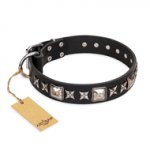 'Space Walk' FDT Artisan Black Leather Dog Collar with Amazing Adornments for Everyday Use