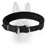 Felt Padded Comfy Canine Dog Collar Made Of The Best Quality Leather