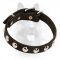 Leather Canine Collar with Round Studs