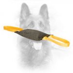 Strong Leather Canine Bite Tug for Developing Prey Drive