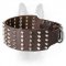 Stunning 3 Rows Spiked And Studded Canine Leather Collar