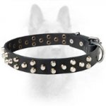 Canine Leather Dog Collar With Small Pyramids