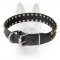 Caterpillar Style Leather Canine Collar for Walking in Style