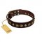 "Street Fashion" FDT Artisan Brown Leather dog Collar Adorned with Circles and Skulls