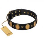 "Doggie Woggie" Designer Handmade FDT Artisan Black Leather dog Collar with Ovals and Studs