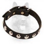 Leather Canine Collar with Round Studs