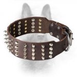 2 inch Spiked and Studded Canine Leather Dog Collar