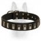 Ornament K9 Collar Made Of Durable Leather