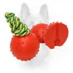 Bright Rubber Dog Training Ball