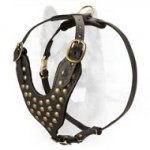 Walking and Training 2 Ply Studded Leather K9 Harness