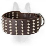 Super Wide Leather Canine Collar with Cones