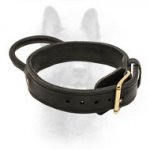 Dog Training Leather Collar With Handle For Canine Dogs