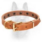 Brass Studded Leather Canine Collar