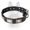 Canine Deluxe Leather Dog Collar With Plates