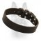 Leather Field Collar For Canine Dog