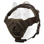 Pulling, Tracking, Walking Nylon Canine Harness