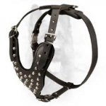 Studded Leather Dog Harness for Canine Walking