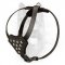 Canine Puppy Leather Harness with Nickel Studs