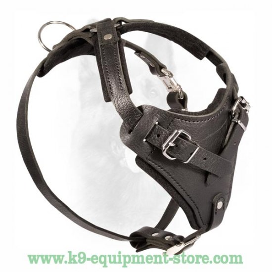 protection dog harness