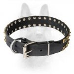 Caterpillar Style Leather Canine Collar for Walking in Style