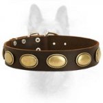 Retro Rulz - Gorgeous Leather Canine Dog Collar With Vintage Brass Decoration
