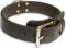 2 Ply Leather Training K9 Dog Collar