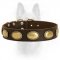 Retro Rulz - Gorgeous Leather Canine Dog Collar With Vintage Brass Decoration