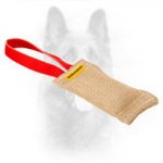 Jute Dog Bite Tug for Puppy Elementary Training