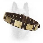 Canine Leather Dog Collar With Brass Massive Plates And Pyramids