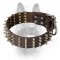 Leather Spiked Canine Dog Collar