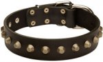 Gorgeous Wide Leather Dog Collar With Pyramids For K9 Dogs
