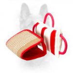 Dog Bite Pillow with Jute Cover