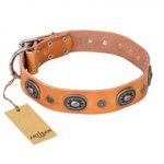 "Twinkle Twinkle" FDT Artisan Incredible Studded Tan Leather dog Collar