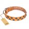 "Precious Sparkle" FDT Artisan Tan Leather Dog Collar with Luxurious Decor