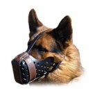 Canine Agitation Leather Dog Muzzle For Training And Other Activities