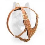 Brass Spiked Leather Dog Harness