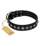 "Black Eagle" Handcrafted FDT Artisan Black Leather dog Collar with Silver-Like Adornments