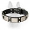 Gorgeous K9 Leather Dog Collar With Silver Plates And Pyramids