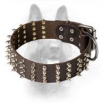 Leather Spiked Canine Dog Collar