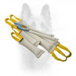 Fire Hose Covered Dog Bite Tugs