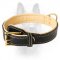 Handmade Custom Leather K9 Collar With Soft Nappa Padding