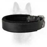 K9 Leather Dog Collar-1.5 inch (3.8cm) width-Training Dog Collar